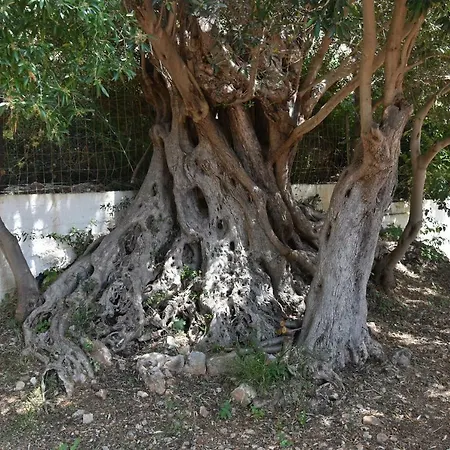 Case E Lilla * Macari